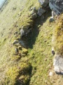 Click for full size image of Foales Arrishes (PID:176251) Foales Arrishes