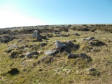 Click for full size image of Foales Arrishes (PID:176241) Foales Arrishes
