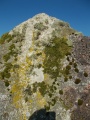 Click for full size image of Foales Arrishes (PID:176240) Foales Arrishes