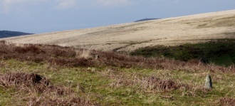Furzehill Common 5