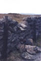 Click for full size image of Blackaton Down north (Hamel Down) (PID:29288) Blackaton Down north (Hamel Down)