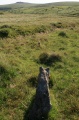 Click for full size image of Hart Tor south row (PID:183546) Hart Tor south row