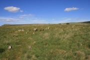 Click for full size image of Hart Tor north rows (PID:183549) Hart Tor north rows
