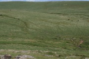 Hart Tor north rows