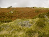 Hart Tor North circle - PID:9729