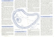 Click for full size image of Hembury Castle (PID:111929) Hembury Castle