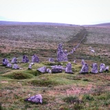 Down Tor circle