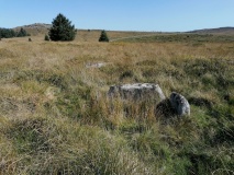 Bellever Tor 6