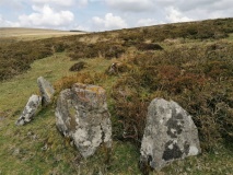 Stannon Newtake cist
