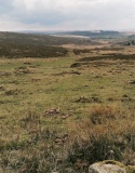 White Ridge stone row