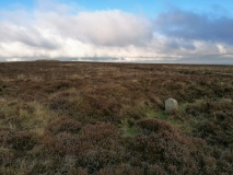 Single Barrow (Hamel Down)