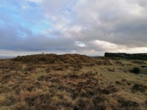Two Barrows (Hamel Down)