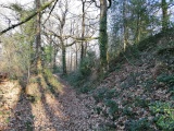 Click for full size image of Hembury Castle (PID:255017) Hembury Castle