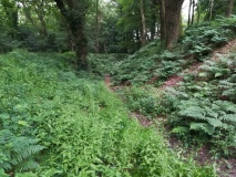 Blackbury Camp