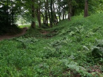 Blackbury Camp