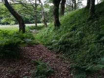 Blackbury Camp