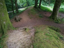 Blackbury Camp