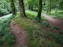 Blackbury Camp