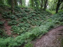 Blackbury Camp