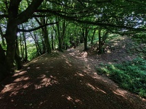 Hembury Fort