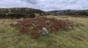 Collard Tor E