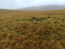 Click for full size image of Winter Tor (PID:283684) Winter Tor