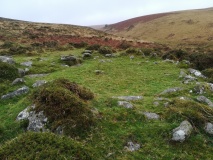 White Hill, Devon