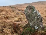 Click for full size image of White Moor Stone (PID:283371) White Moor Stone