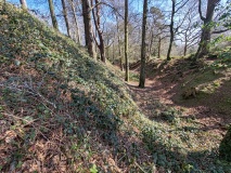 Woodbury Castle