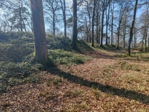 Woodbury Castle
