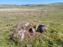 Lee Moor (Willings Walls) Cist