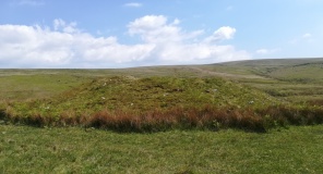Drizzlecombe Giant's Basin