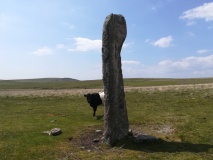 Drizzlecombe menhir 2