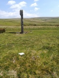 Drizzlecombe menhir 2