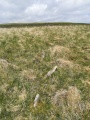 Click for full size image of Drizzlecombe row 3 (PID:290548) Drizzlecombe row 3