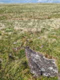 Langcombe Brook 4