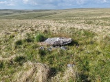 Click for full size image of Langcombe South (PID:290783) Langcombe South
