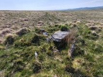 Langcombe South