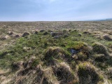 Click for full size image of Langcombe South (PID:290782) Langcombe South