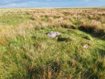 Click for full size image of Deadman's Bottom F (PID:290797) Deadman's Bottom F