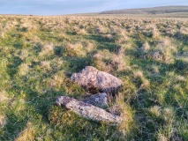 Great Gnat's Head Cist