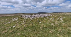 Click for full size image of Narrator Brookhead Cairn (PID:290906) Narrator Brookhead Cairn