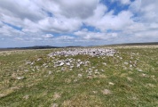 Click for full size image of Narrator Brookhead Cairn (PID:290909) Narrator Brookhead Cairn