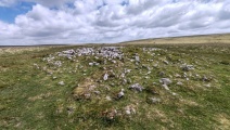 Click for full size image of Narrator Brookhead Cairn (PID:290908) Narrator Brookhead Cairn
