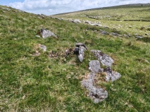 Click for full size image of Down Tor Cist (PID:290944) Down Tor Cist