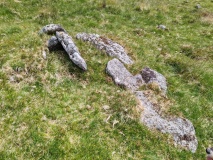 Click for full size image of Down Tor Cist (PID:290945) Down Tor Cist