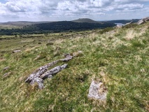 Click for full size image of Down Tor Cist (PID:290946) Down Tor Cist