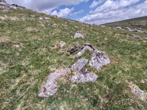 Click for full size image of Down Tor Cist (PID:290949) Down Tor Cist