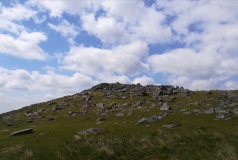 Click for full size image of Down Tor Cist (PID:290947) Down Tor Cist