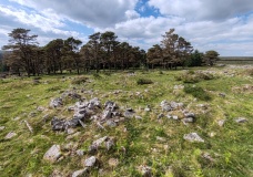 Raddick Lane Settlement
